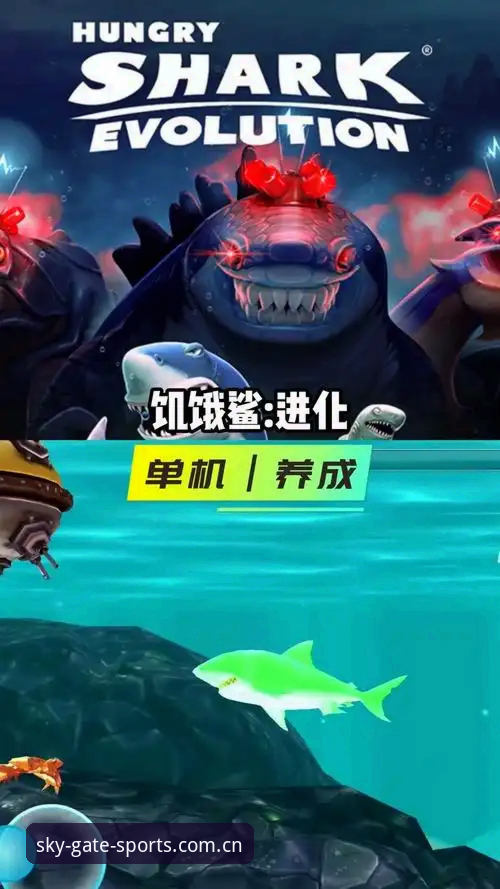星空体育入口中文界面到底怎么设置？从登录到比分推送的完整步骤